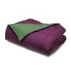 Full/Queen size 3-Piece Green Purple Microfiber Comforter Set with 2 Shams