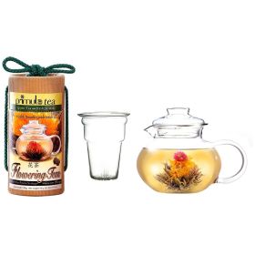 Flowering Tea Set with 40-oz Stove Top Clear Glass Pot Kettle and Infuser