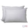 Set of 2 Hypoallergenic Down Alternative Pillows with 100% Cotton Ticking