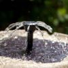2-Tier Solar Fountain Bird Bath in Weather Resistant Fiberglass Resin